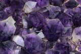 Top Quality, Deep Purple Amethyst Cluster - Congo #231390-2